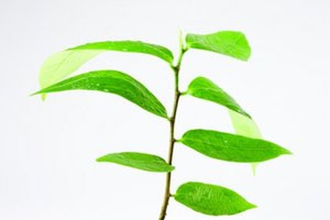 安全审计的视觉化解读：一张图看懂